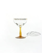 Load image into Gallery viewer, Frosted Glass Champagne Coupes
